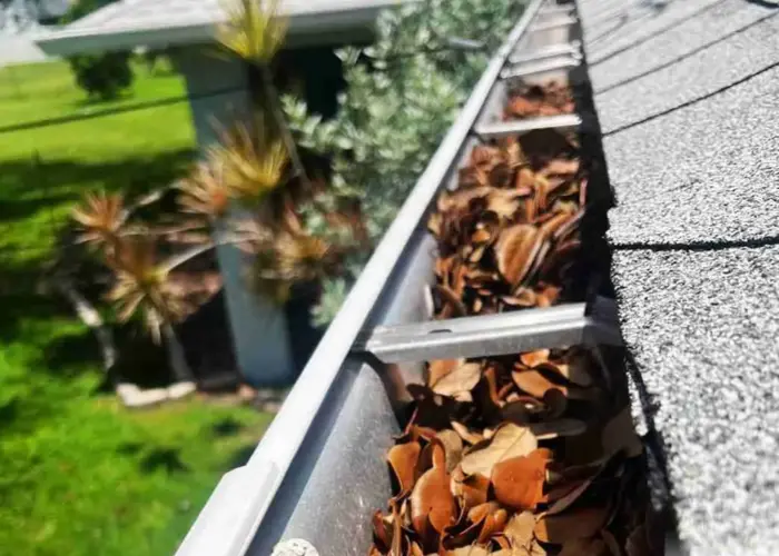 Lake Oswego gutter cleaning home page
